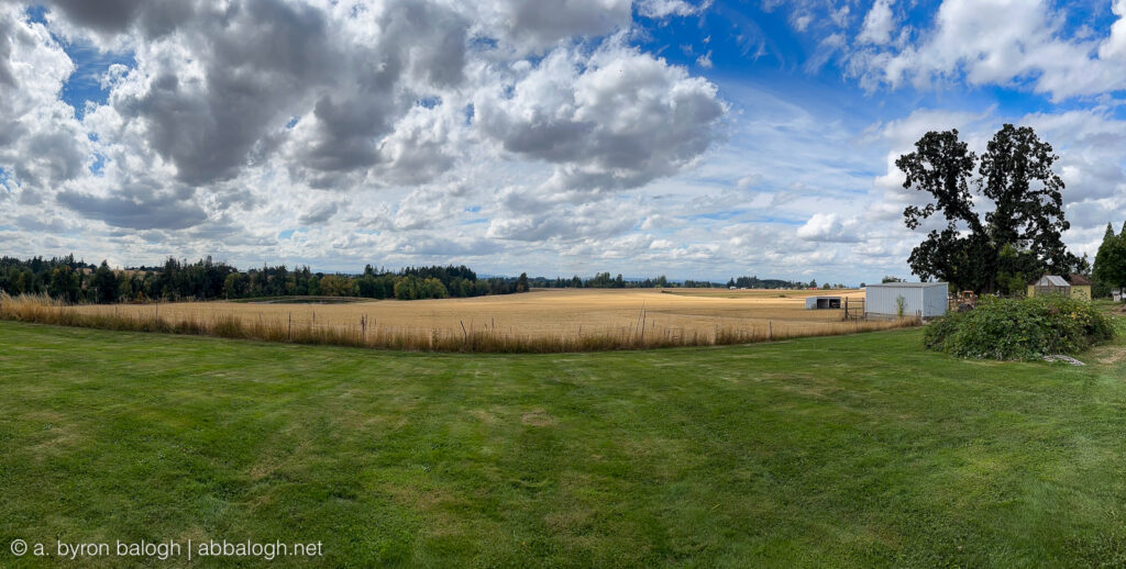 Looking south at the Willamette Valley from Blue Acres Farm