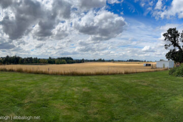 Looking south at the Willamette Valley from Blue Acres Farm