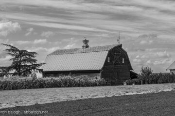 Barn on Sehah Springs Road and Brush Creek Drive outside Silverton, Oregon
